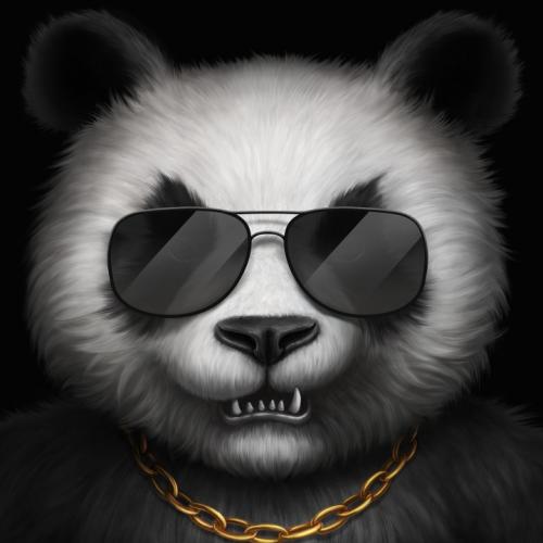 Panda - ait Kullanici Resmi (Avatar)