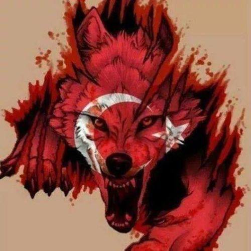 DarqNight - ait Kullanici Resmi (Avatar)